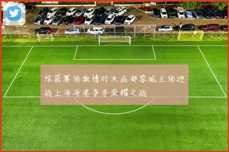 绿茵赛场激情对决成都蓉城主场迎战上海海港争夺荣耀之战